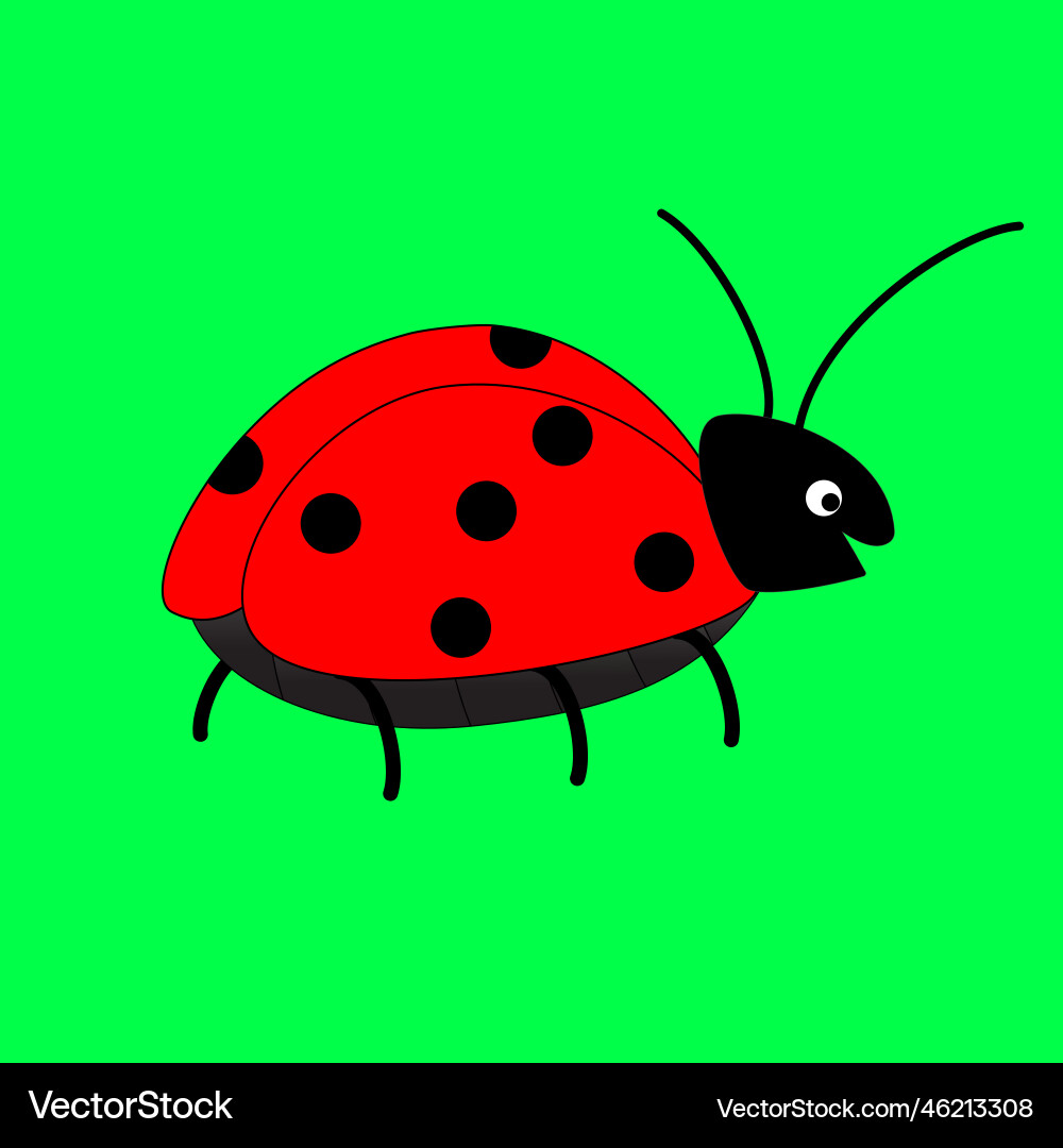 Cute ladybug or ladybird Cute ladybug or ladybird Vector Image