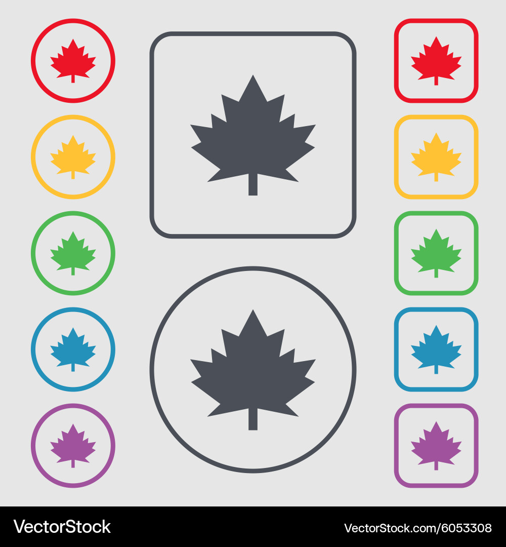 Maple leaf icon symbols on the round and square Vector Image