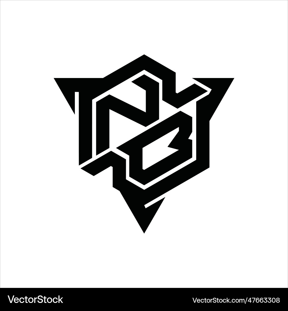 Nb logo monogram hexagon shape with triangle Nb logo monogram hexagon shape with triangle Vector Image