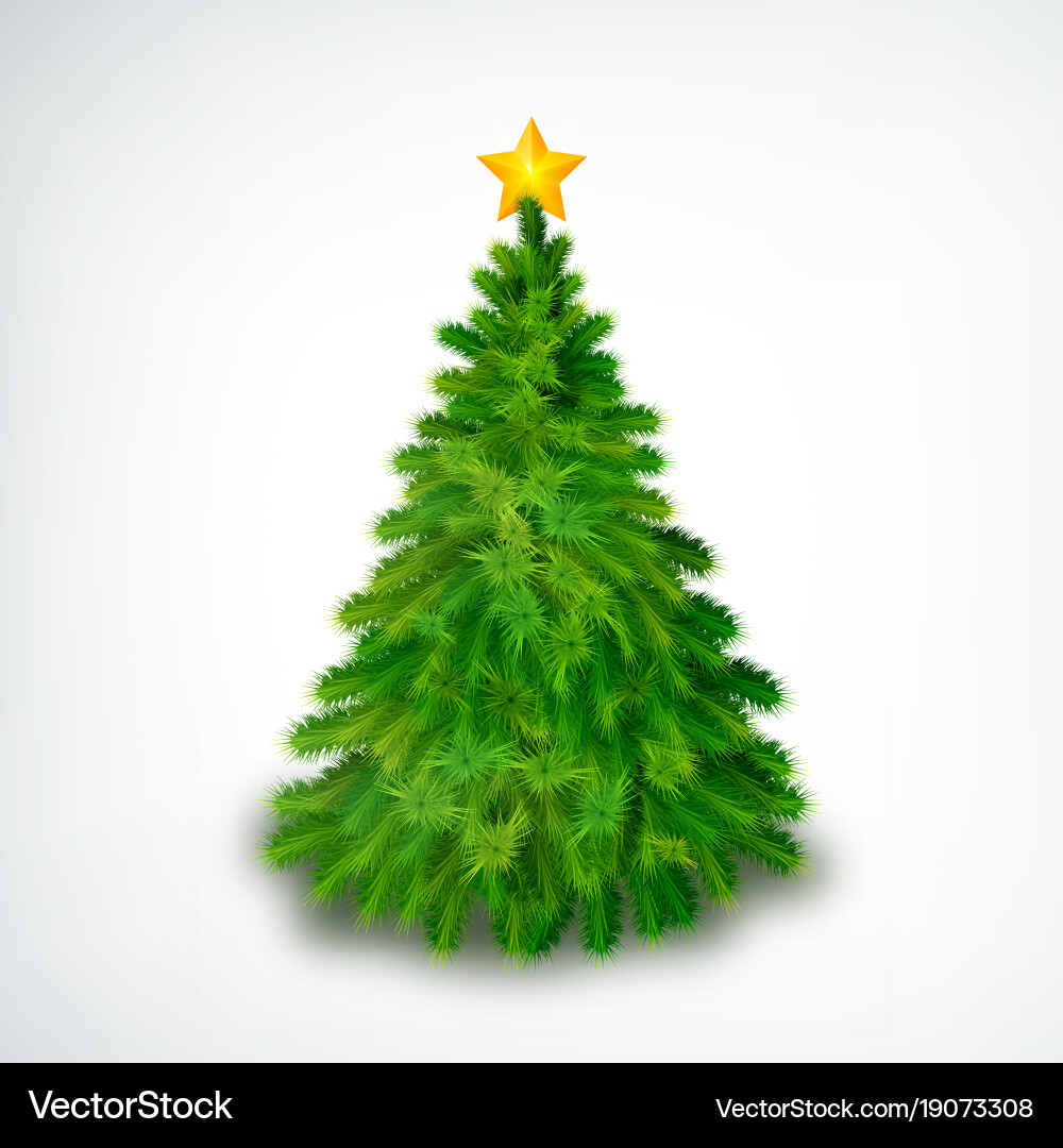 Realistic christmas tree Royalty Free Vector Image