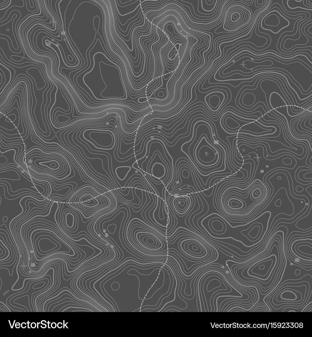 Seamless pattern topographic map background Vector Image