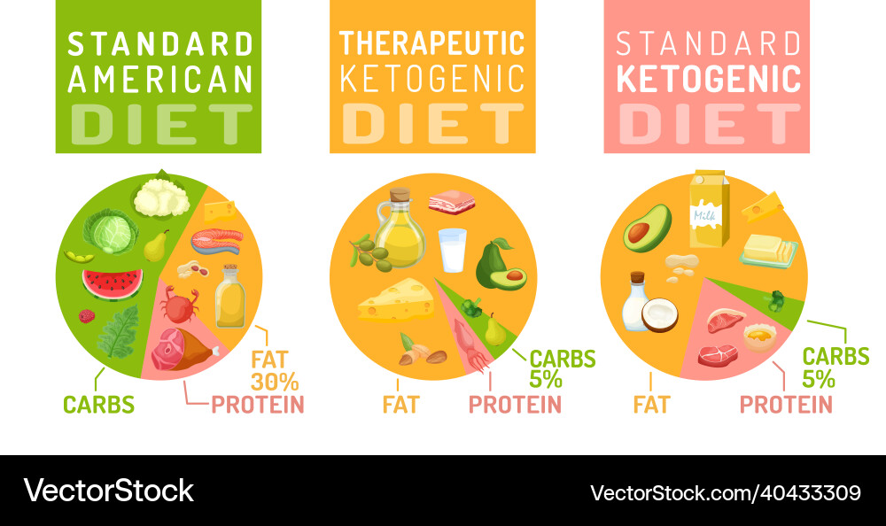 Low carbohydrate diet diagrams medical pyramid Low carbohydrate diet diagrams medical pyramid vector image