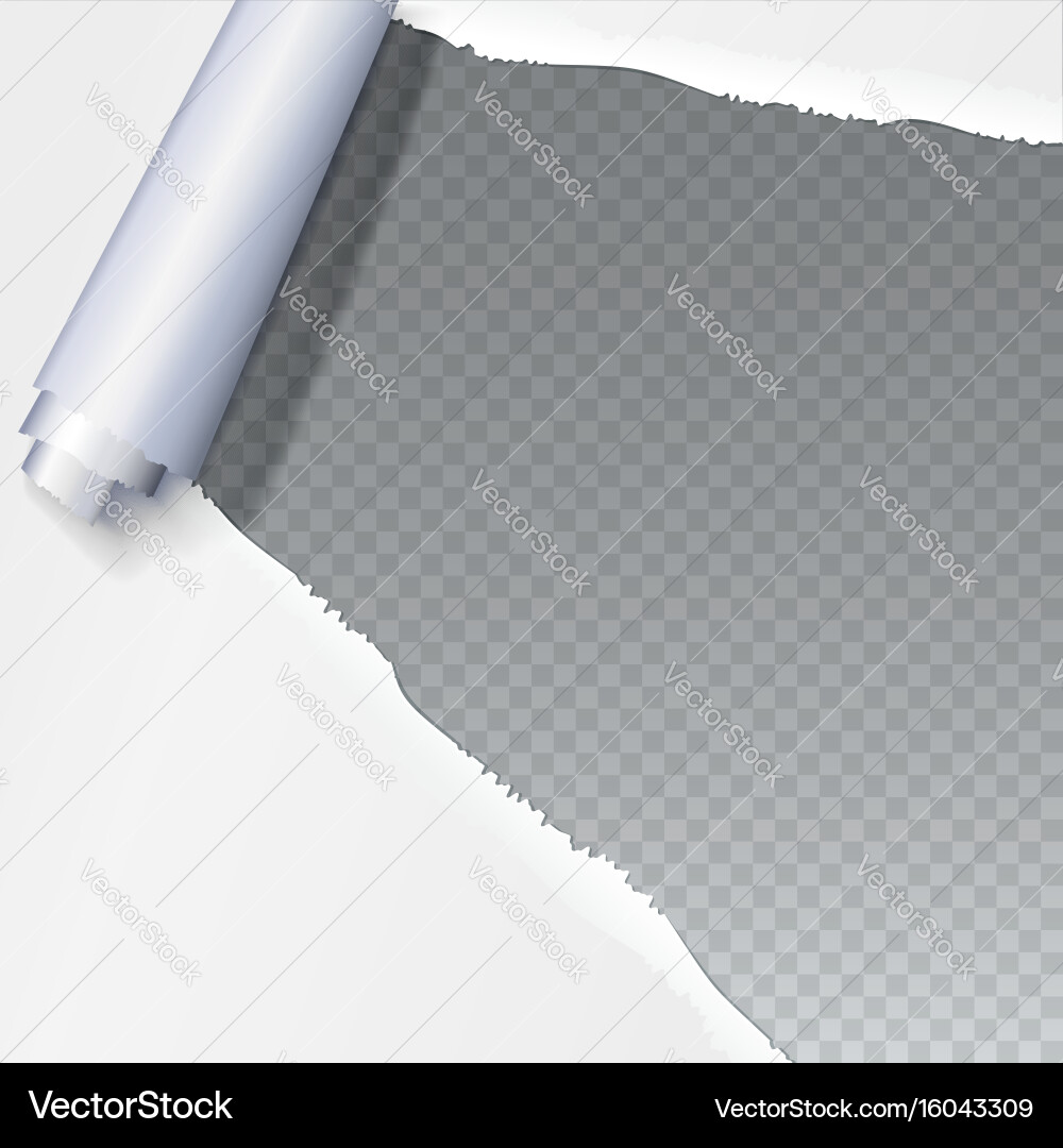 Realistic torn open paper with space for text vector image