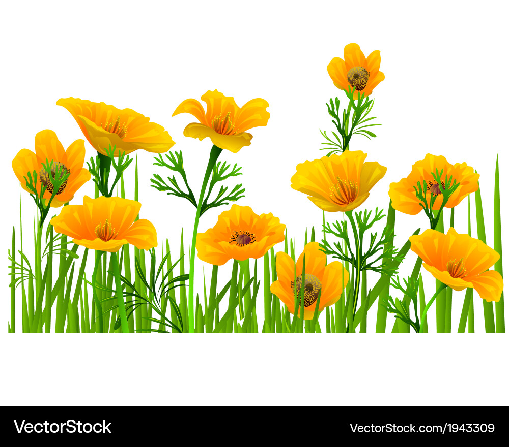 Spring background Vector Image