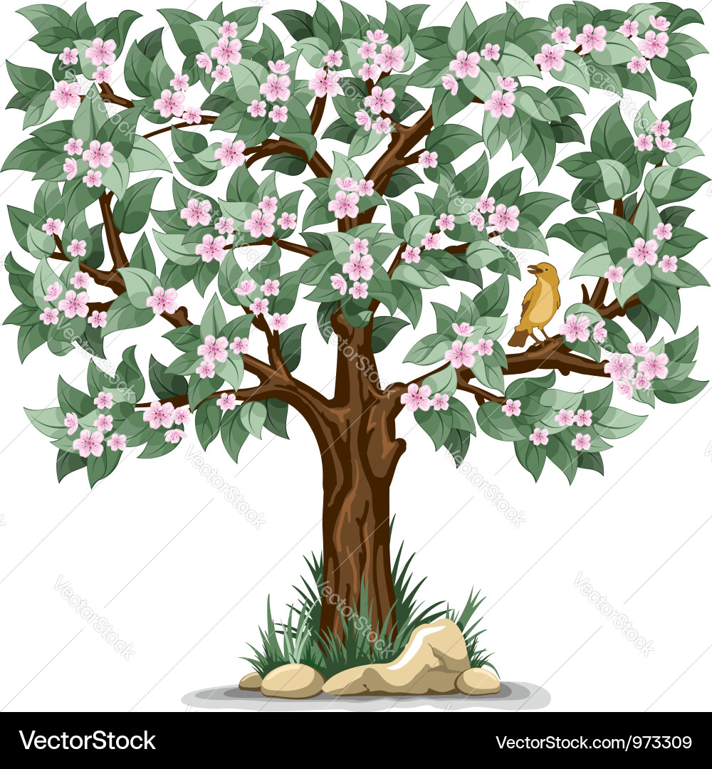 Spring Flowering Tree with Bird vector image