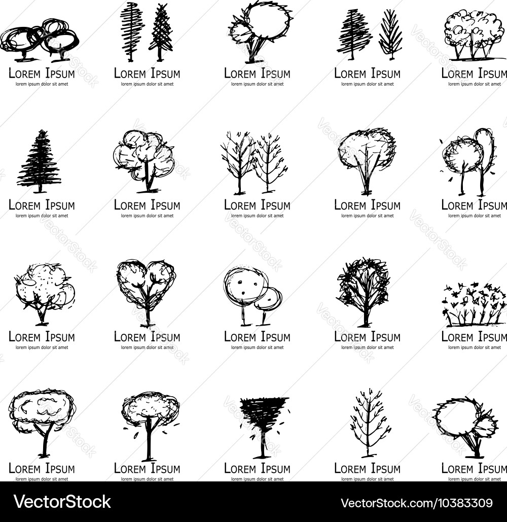 Trees collection sketch for your design Vector Image