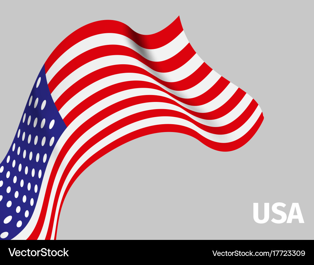 USA Wavy Flag Background Vector Image