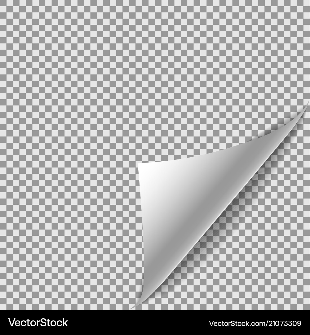 White gradient paper curl with shadow isolated vector image