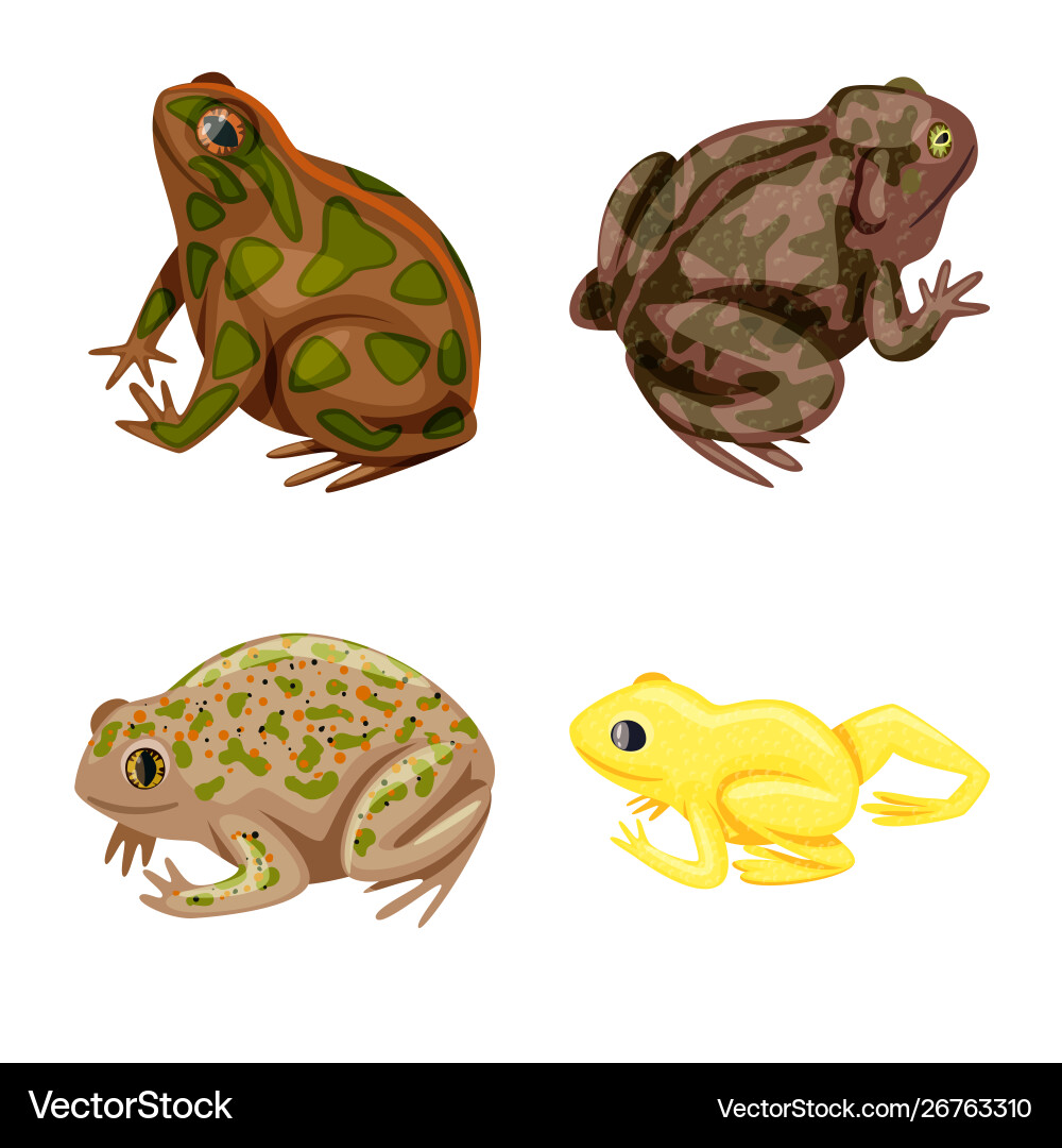 Isolated object frog and anuran symbol set Isolated object frog and anuran symbol set vector image