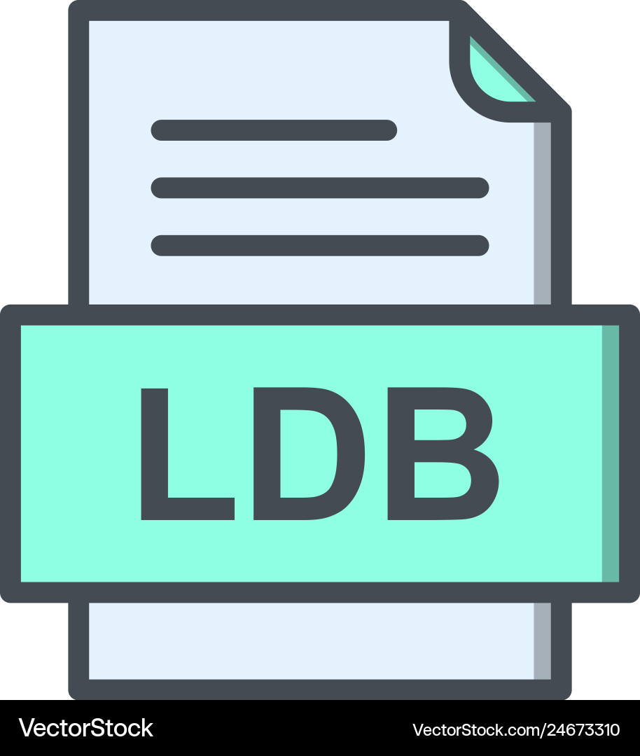 Ldb file document icon Vector Image