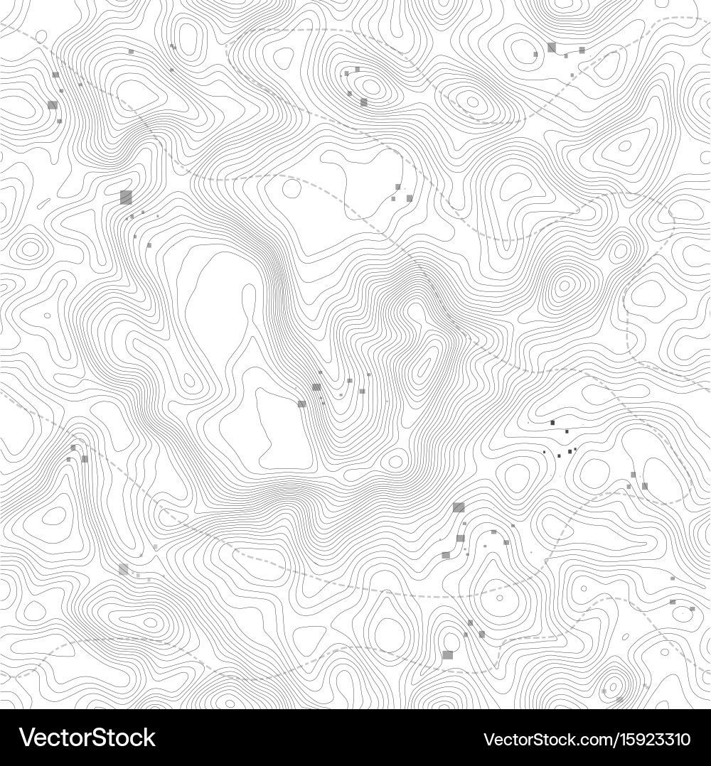 Seamless pattern topographic map background vector image