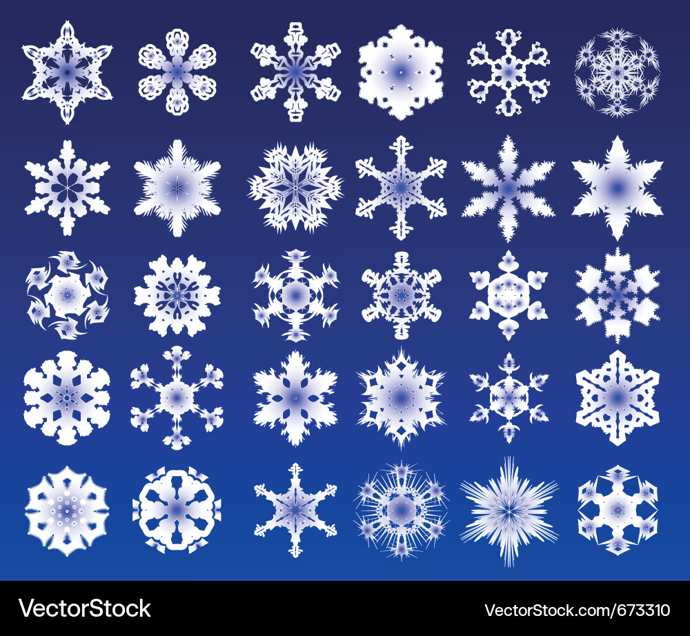 Snowflakes vector image