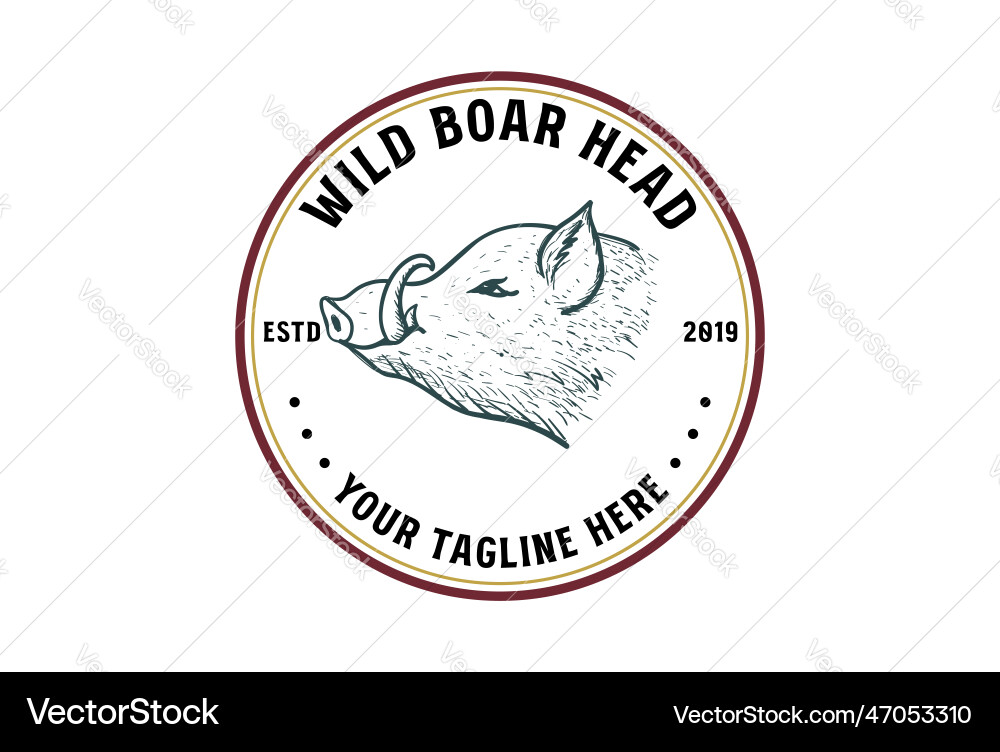 Vintage hand draw wild boar hog pig head badge Vintage hand draw wild boar hog pig head badge vector image