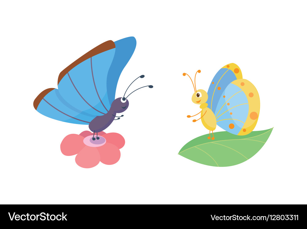 Colorful butterflies Vector Image