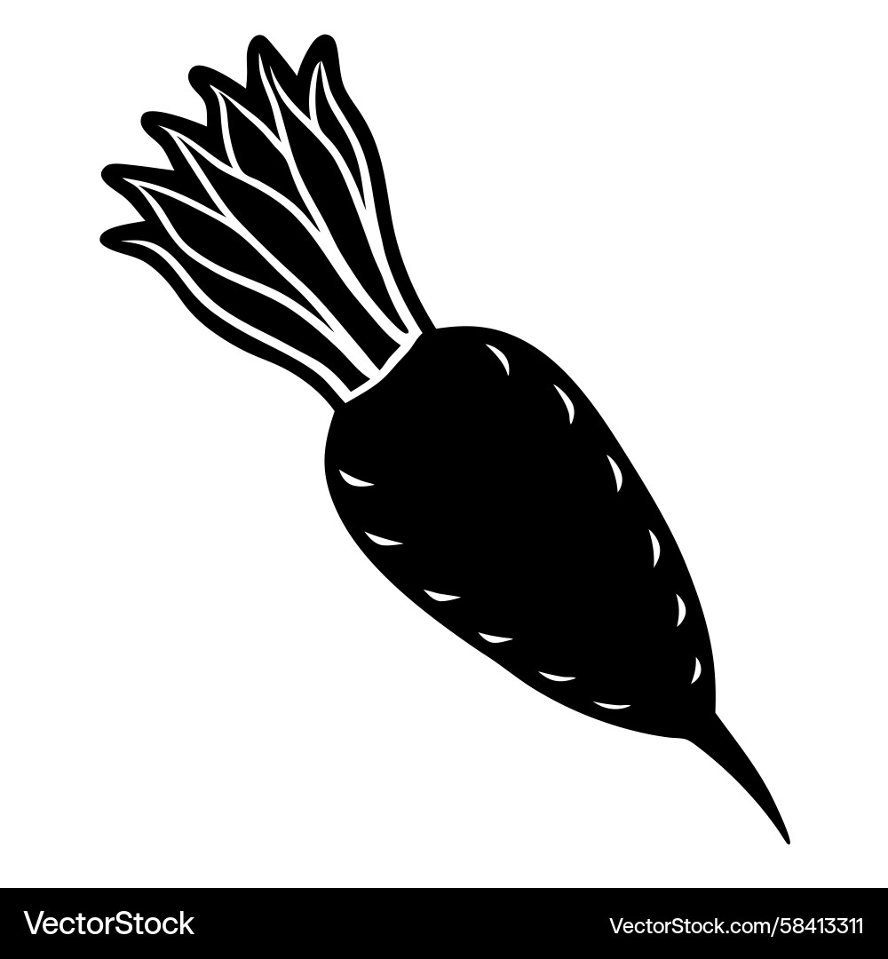 Parsnip Silhouette Vector Image