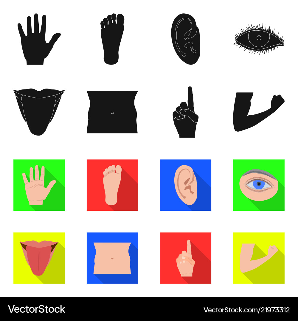 Design of human and part symbol set Design of human and part symbol set vector image