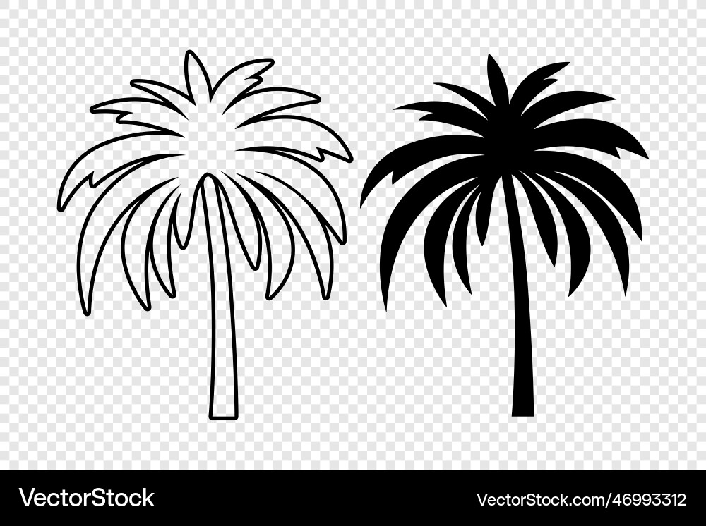 Palm trees tree icon set isolated Palm trees tree icon set isolated vector image