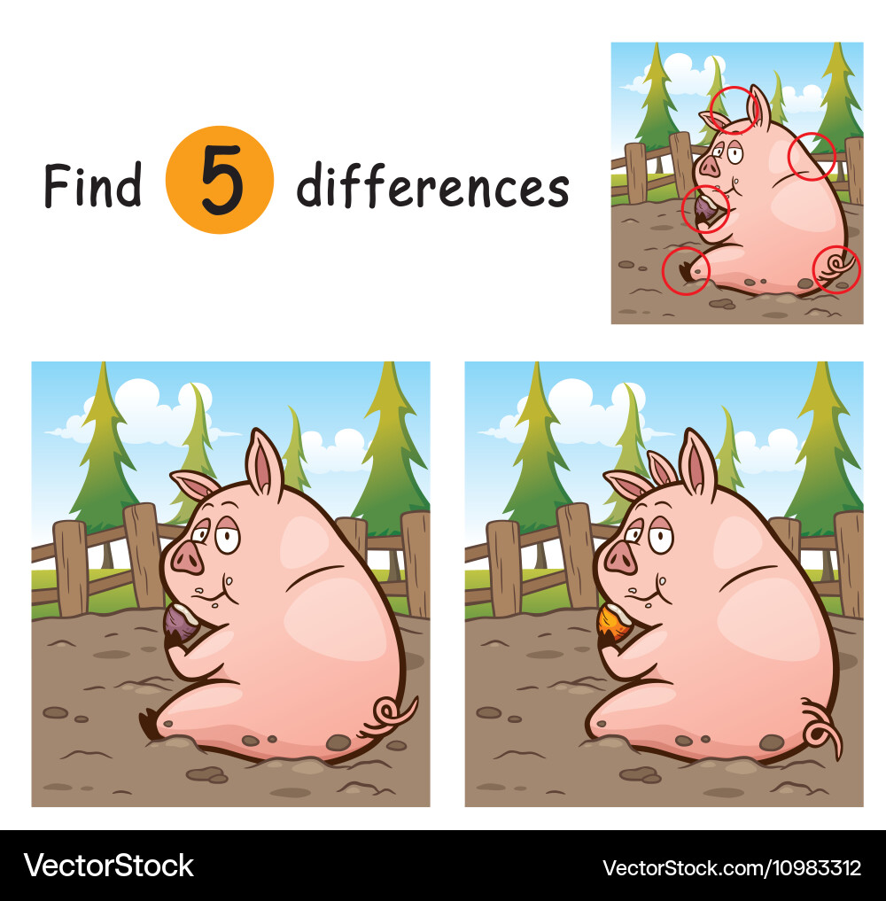 Pig Find Differences Game vector image