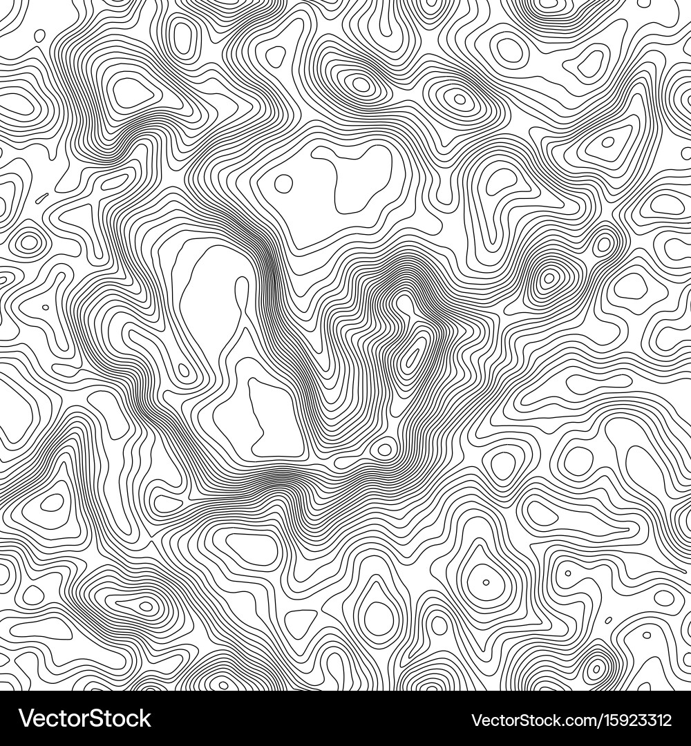Seamless pattern topographic map background Vector Image