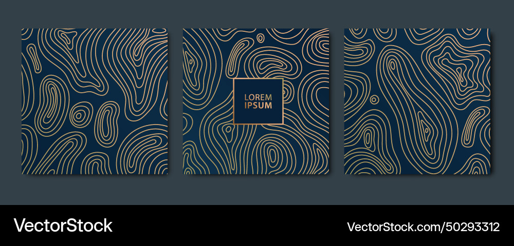 Set of line map gold patterns typography Set of line map gold patterns typography vector image