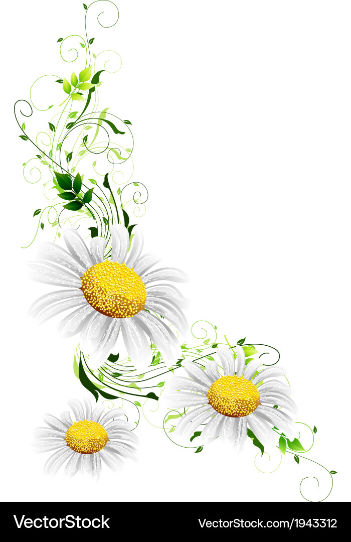 Spring background vector image