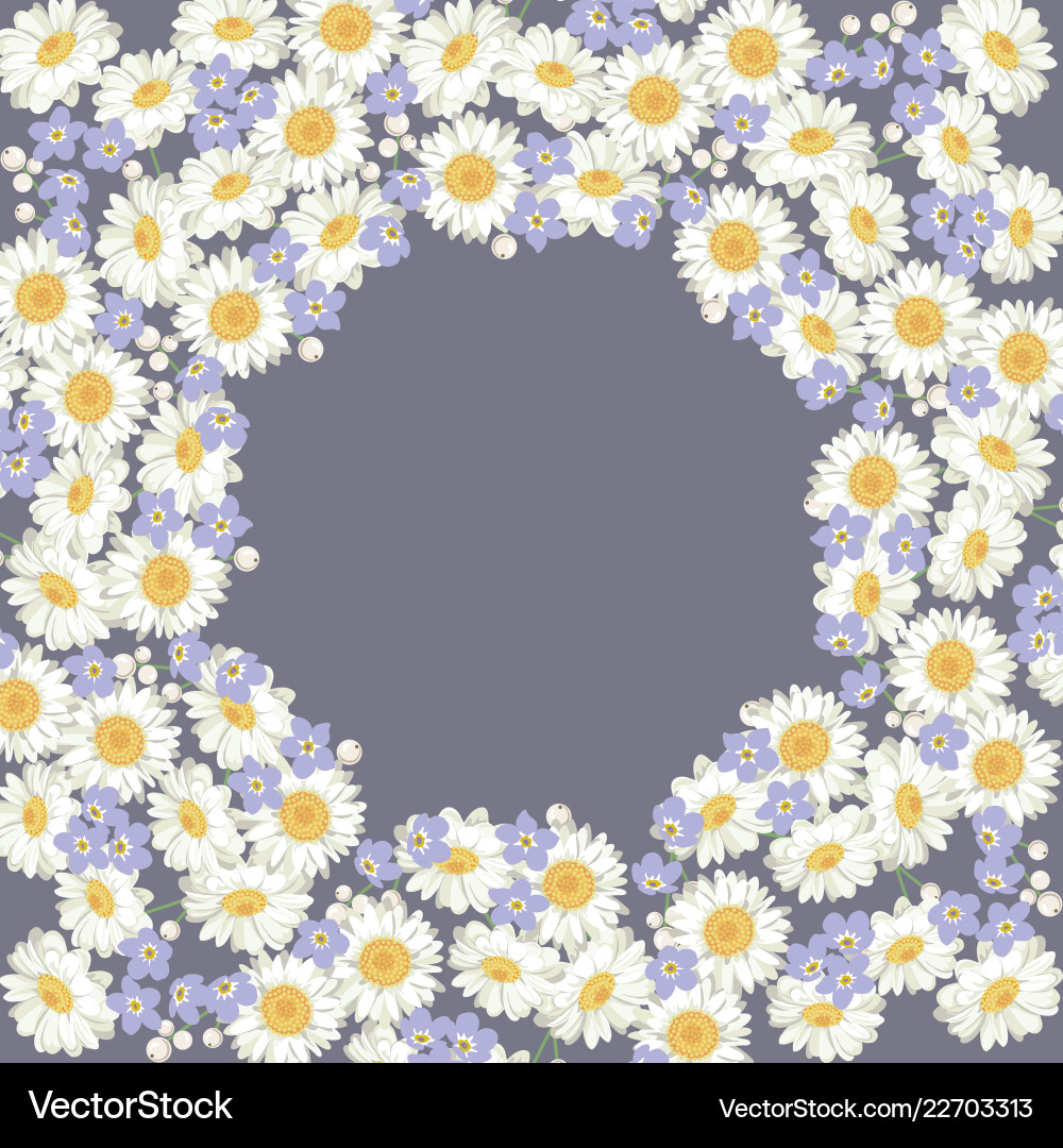 Chamomile and forget me-not-flowers pattern vector image