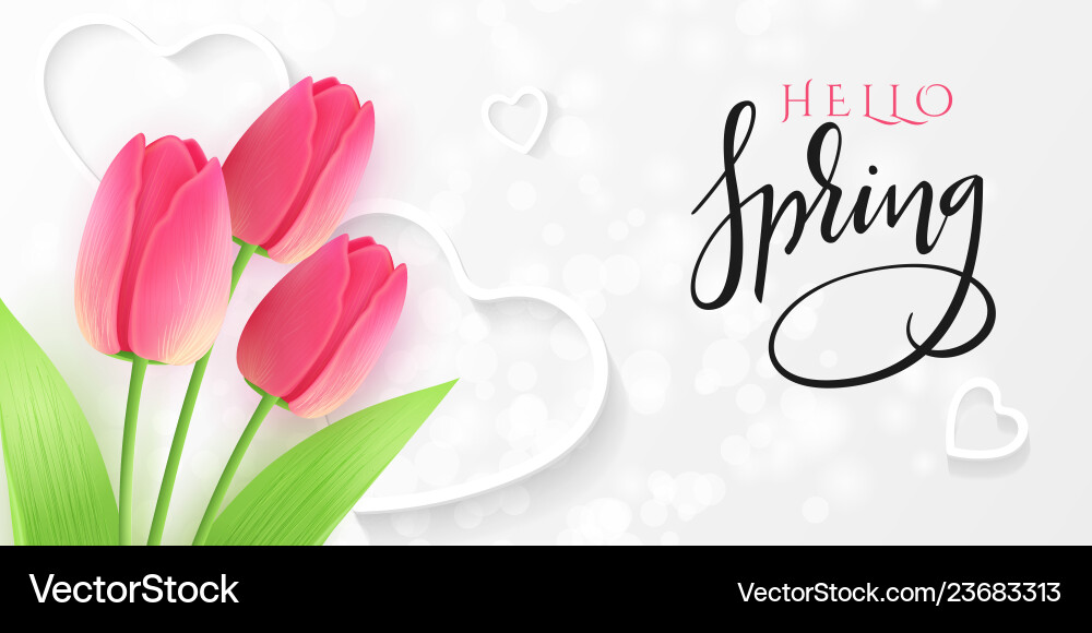Hello spring greetings Hello spring greetings vector image