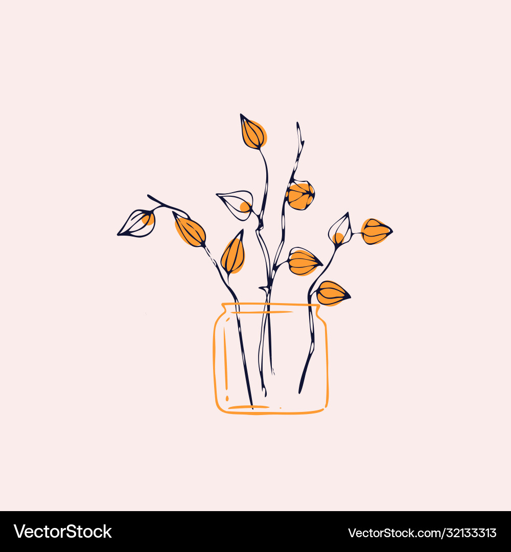 Physalis Bouquet in a Jar Vector Image