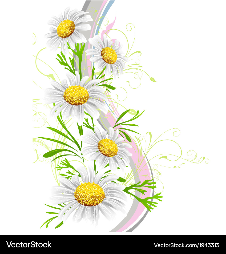 Spring background vector image