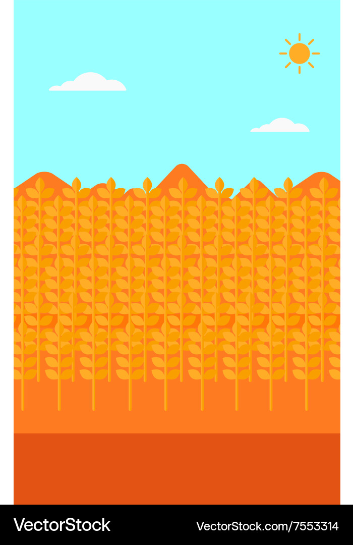 Background of wheat field Vector Image