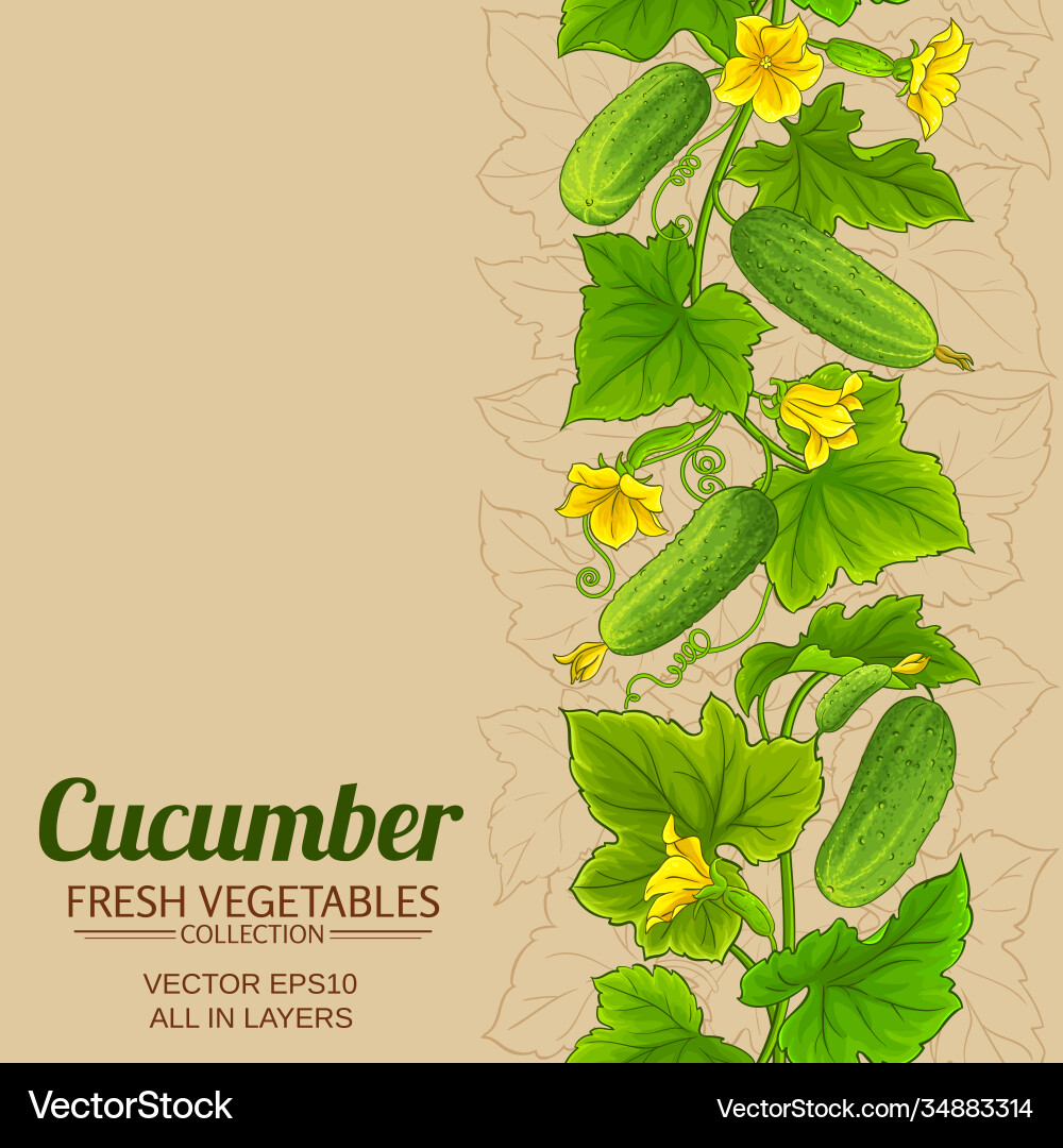 Cucumber plant pattern on color background vector image