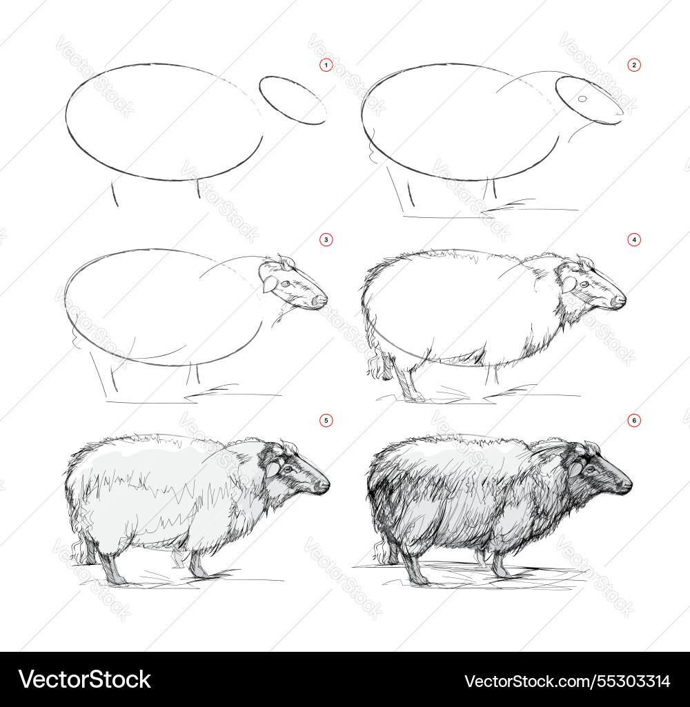 Page shows how to learn draw from life sketch Page shows how to learn draw from life sketch vector image