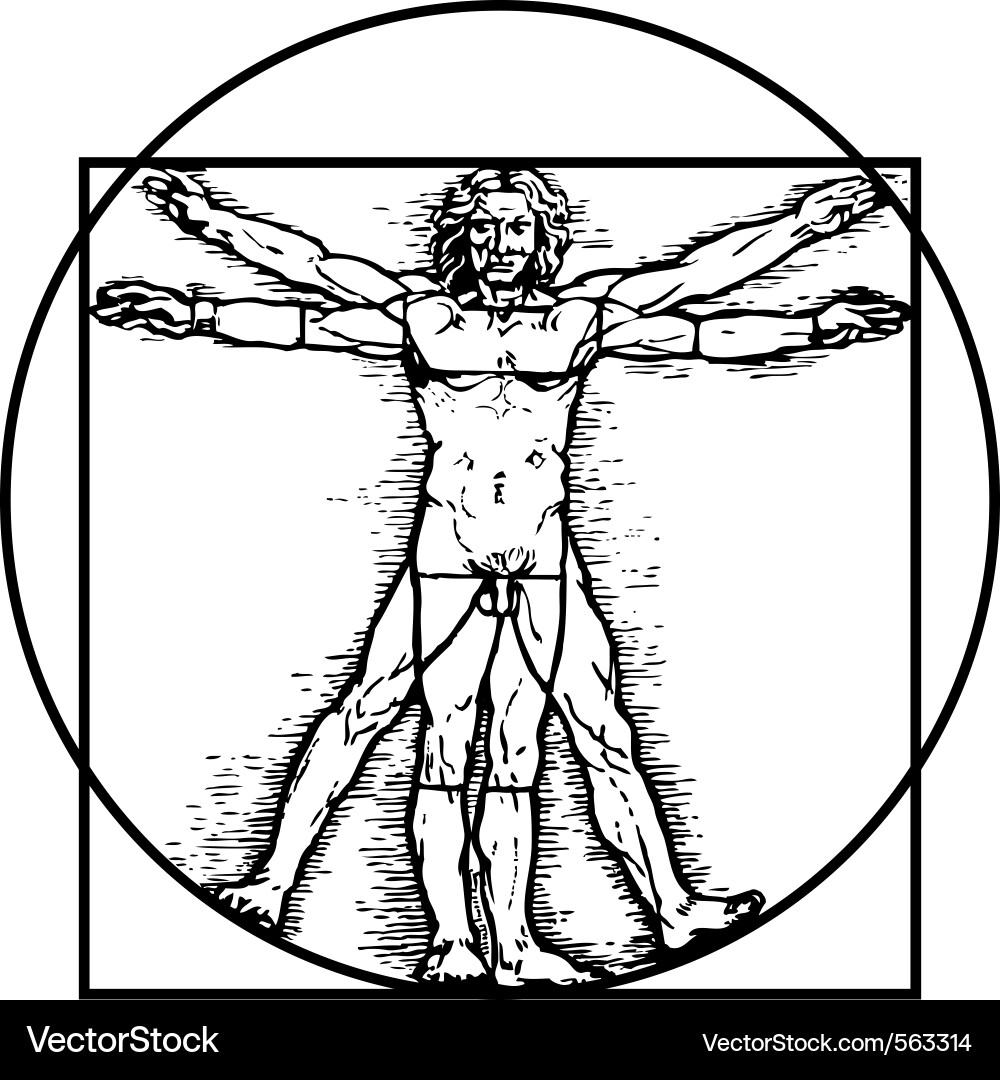 Vitruvian Man Renaissance Artwork Vector Image