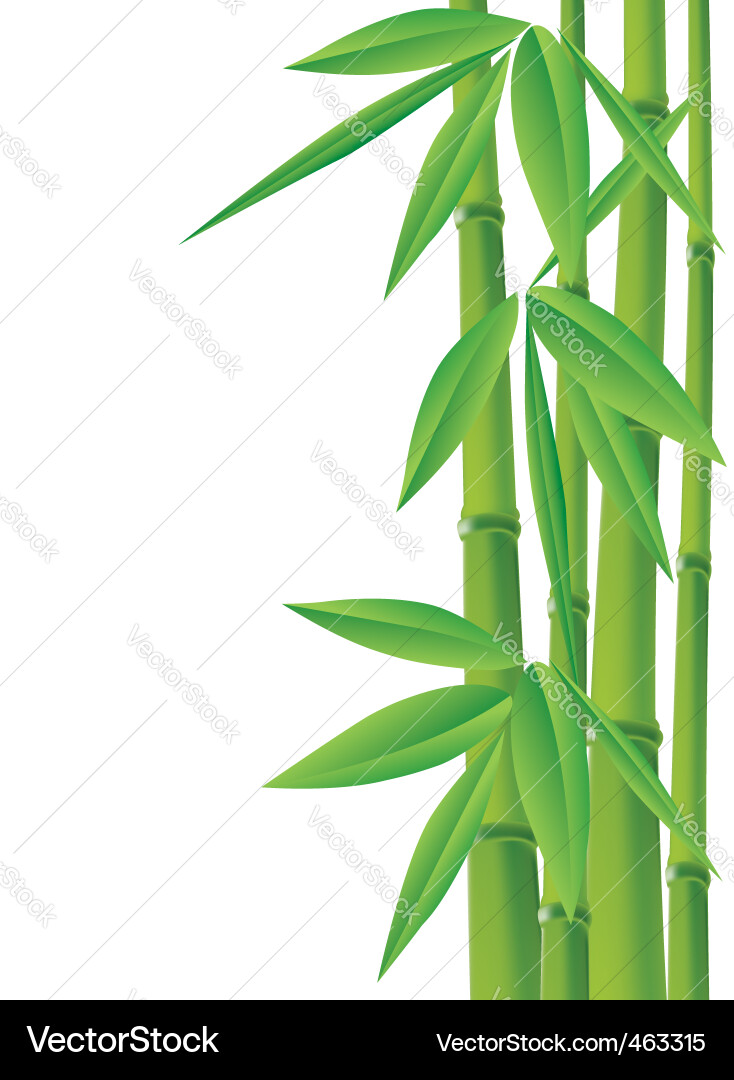 Bamboo Forest Background Vector Image