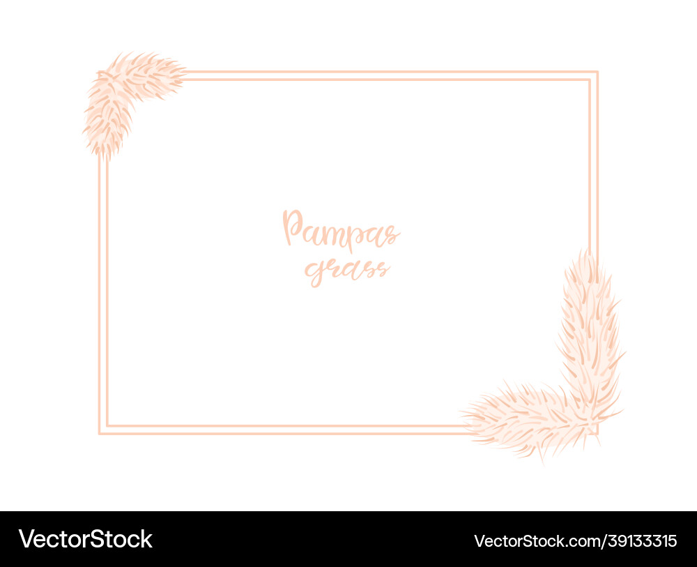 Dry thistle rectangular background design Vector Image