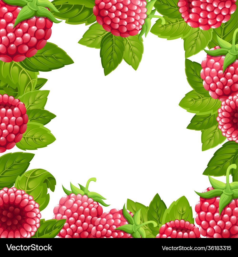 Pattern raspberry with green Pattern raspberry with green vector image