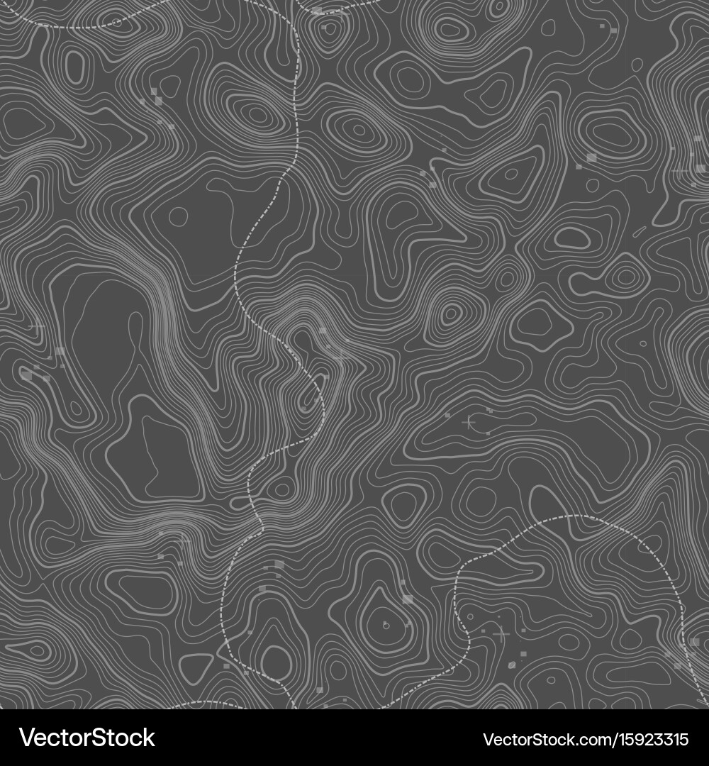 Seamless pattern topographic map background vector image