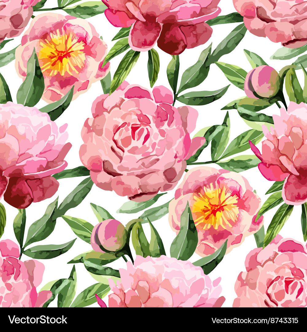 Watercolor Peonies Pattern Vector Image