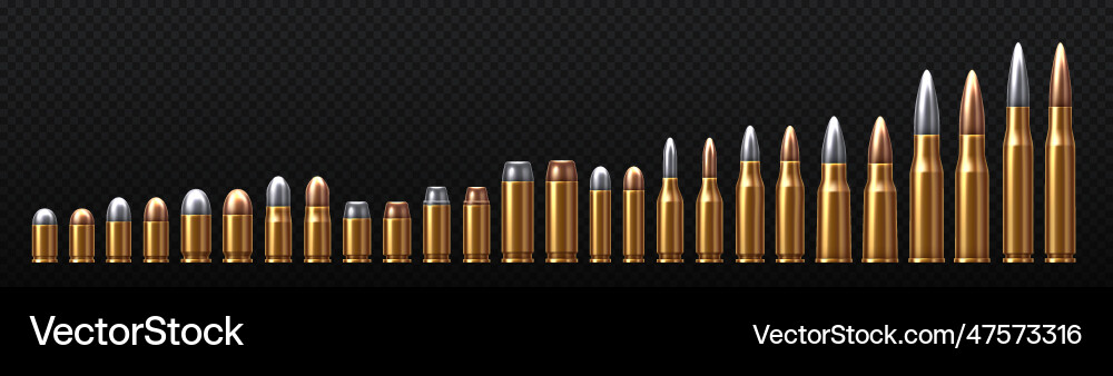 Assorted Bullet Set - Metallic vector image