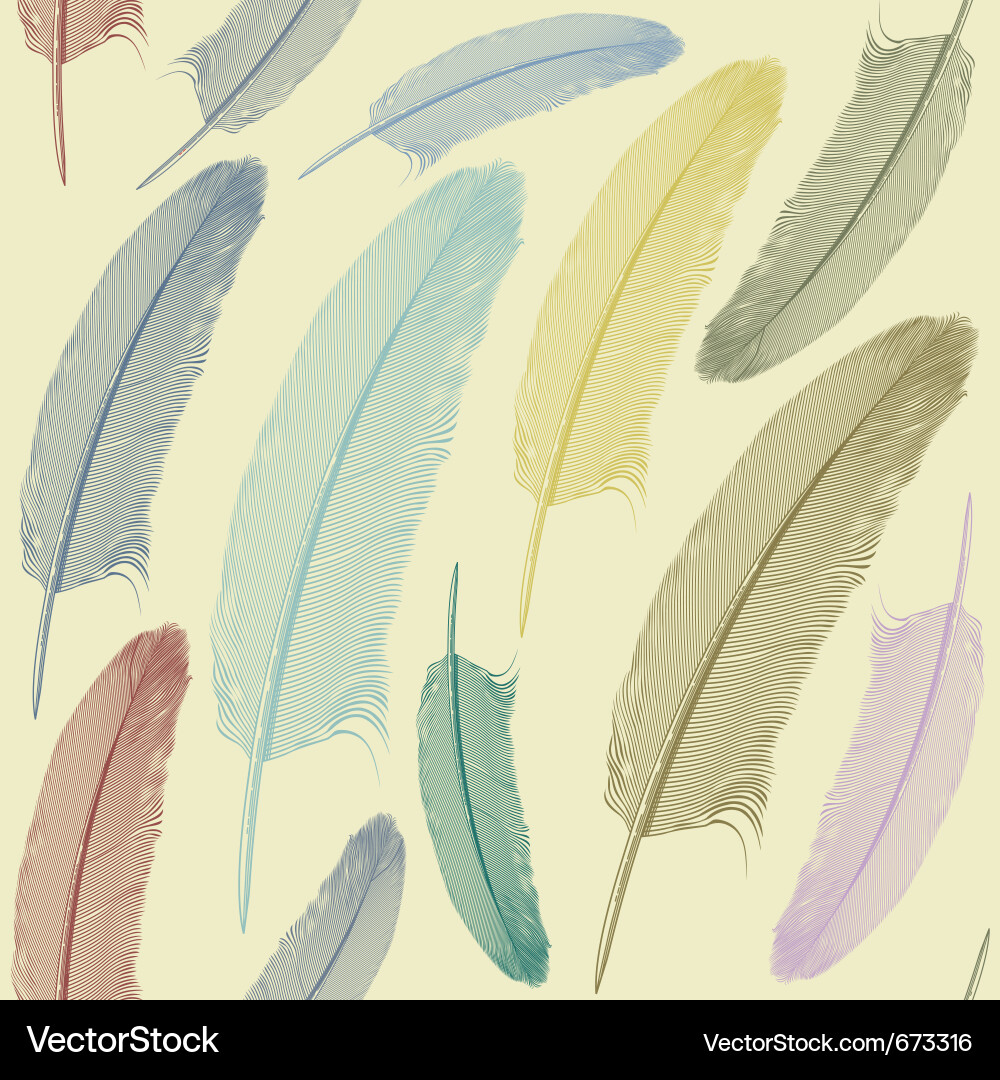 Feather Seamless Pattern vector image