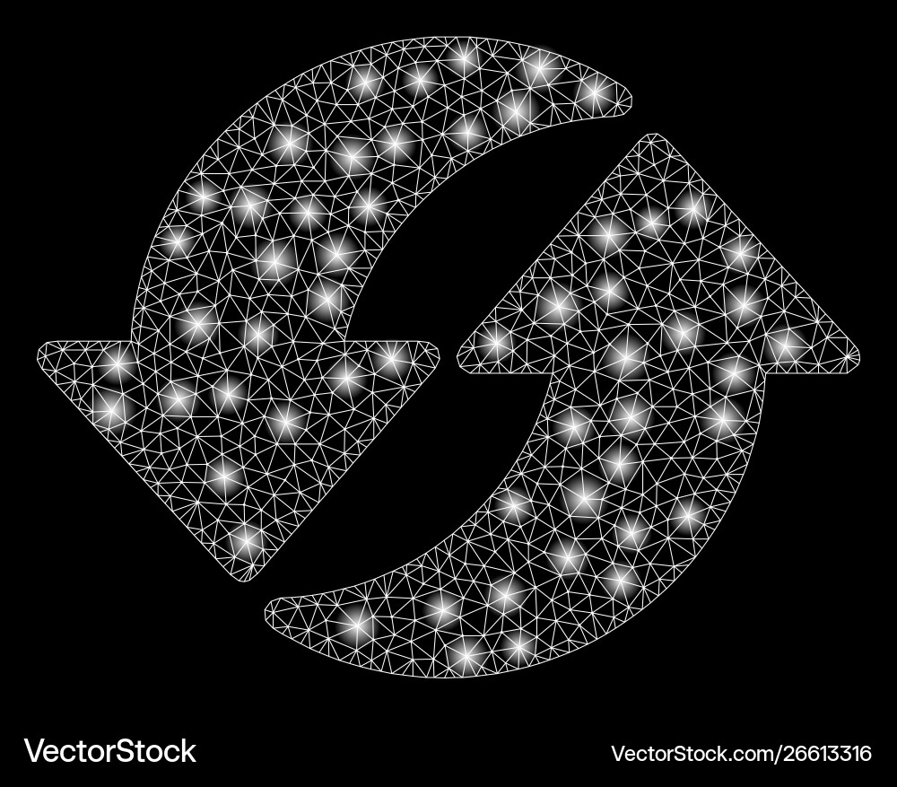 Flare mesh network refresh with spots Flare mesh network refresh with spots vector image