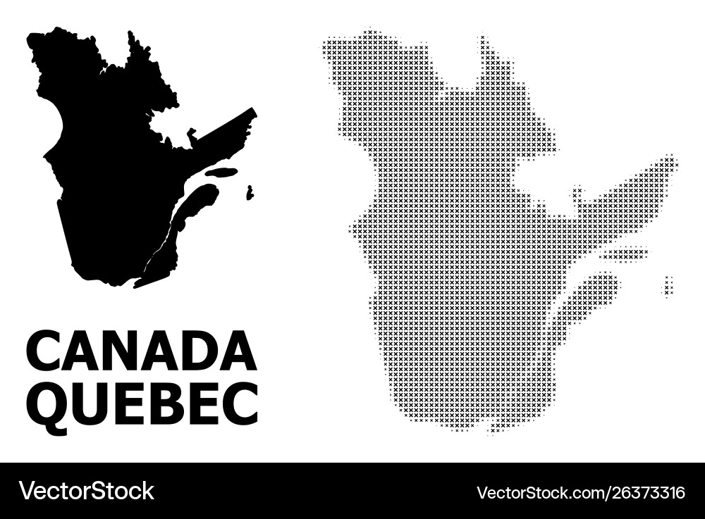 Halftone pattern and solid map quebec Vector Image