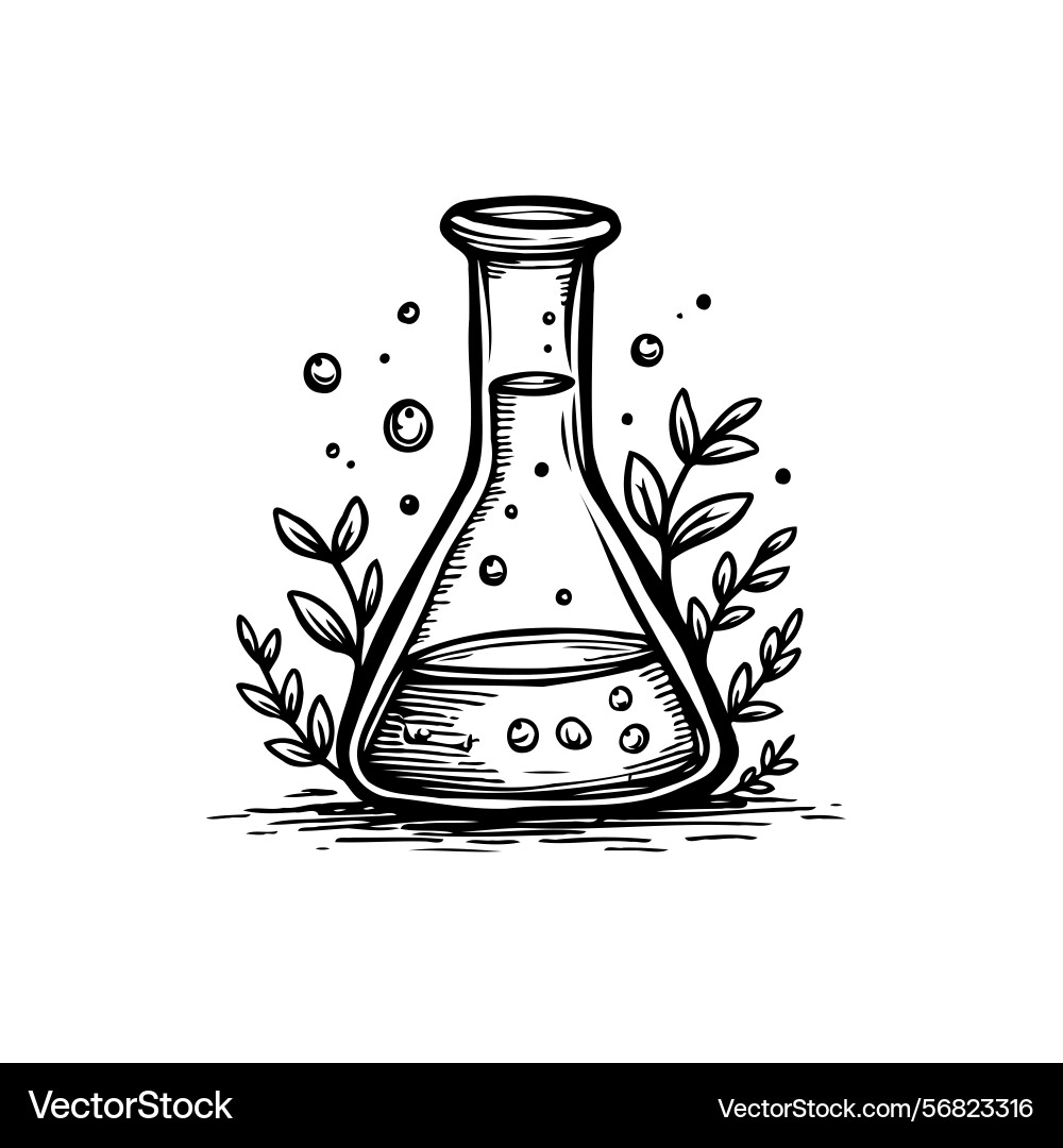 Stylized science flask with botanical elements Vector Image