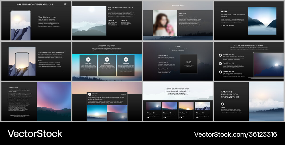 Templates for website design presentations vector image