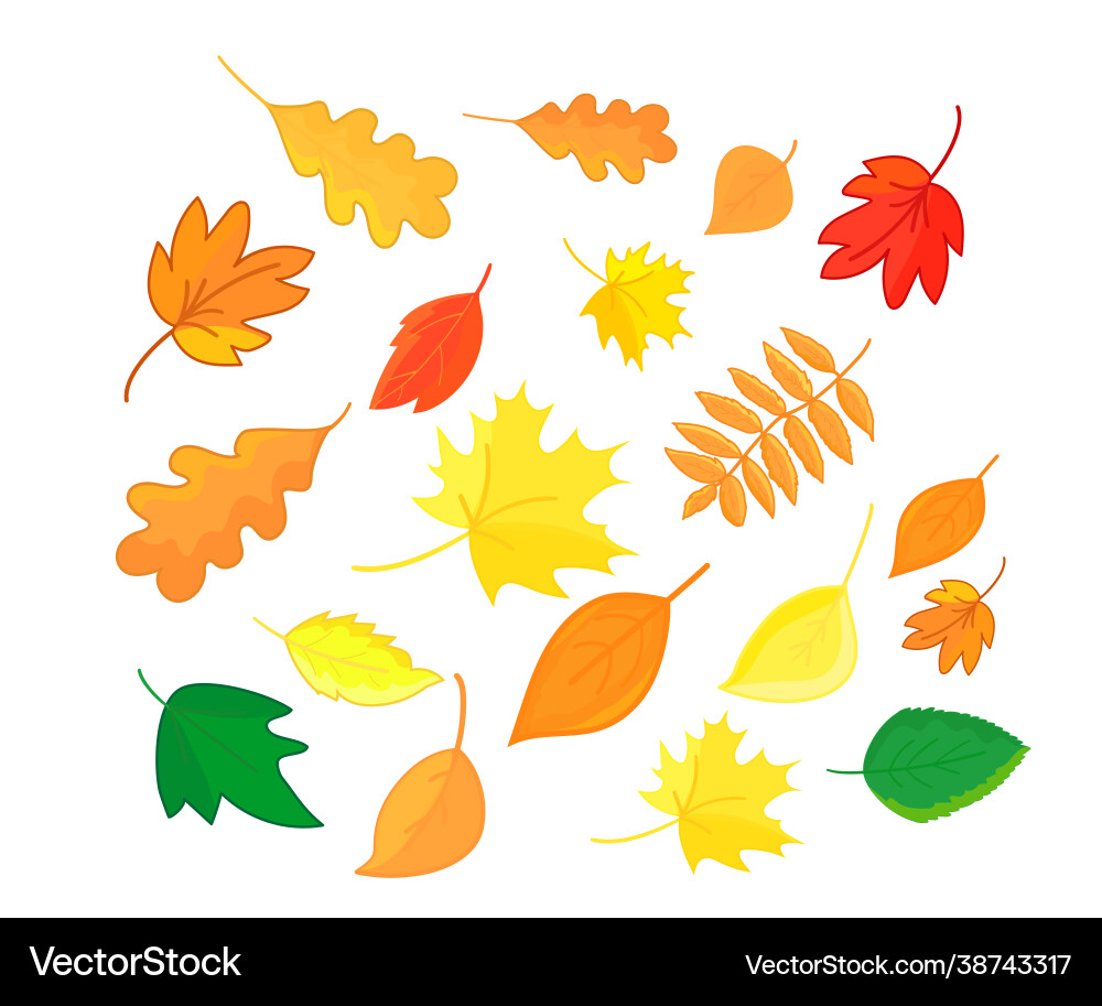 Herbstblätter im Cartoon Stil isoliert auf weiß Herbstblätter im Cartoon Stil isoliert auf weiß vektorbild