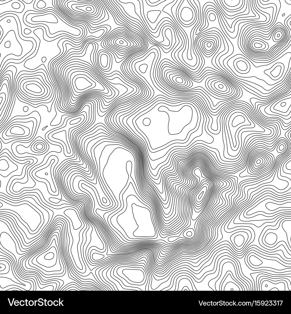 Seamless pattern topographic map background Vector Image