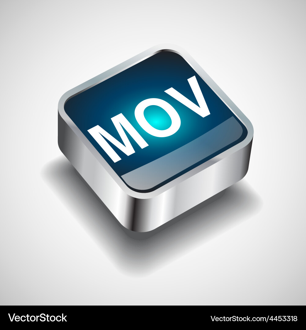 Icon format button file document vector image