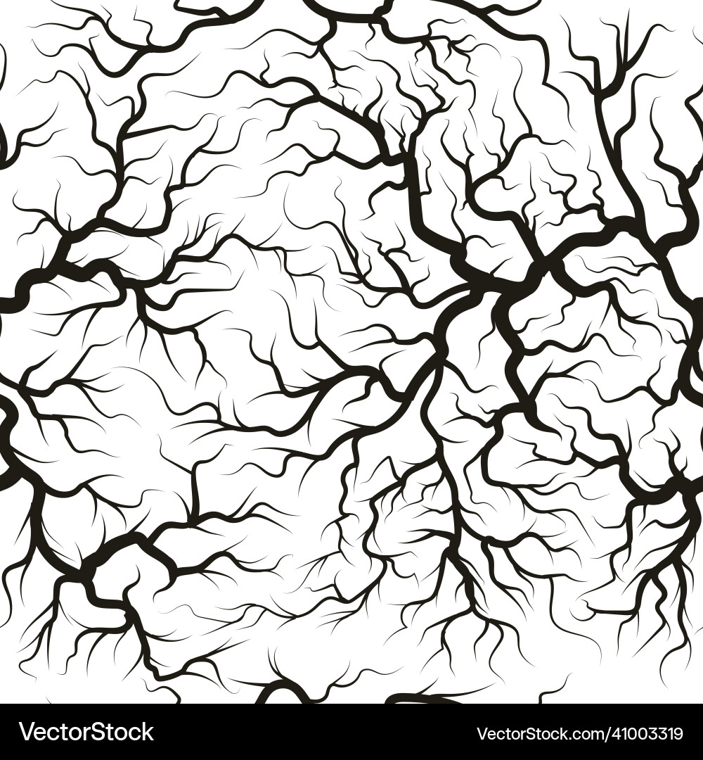 Root System Pattern - Branching Roots vector image