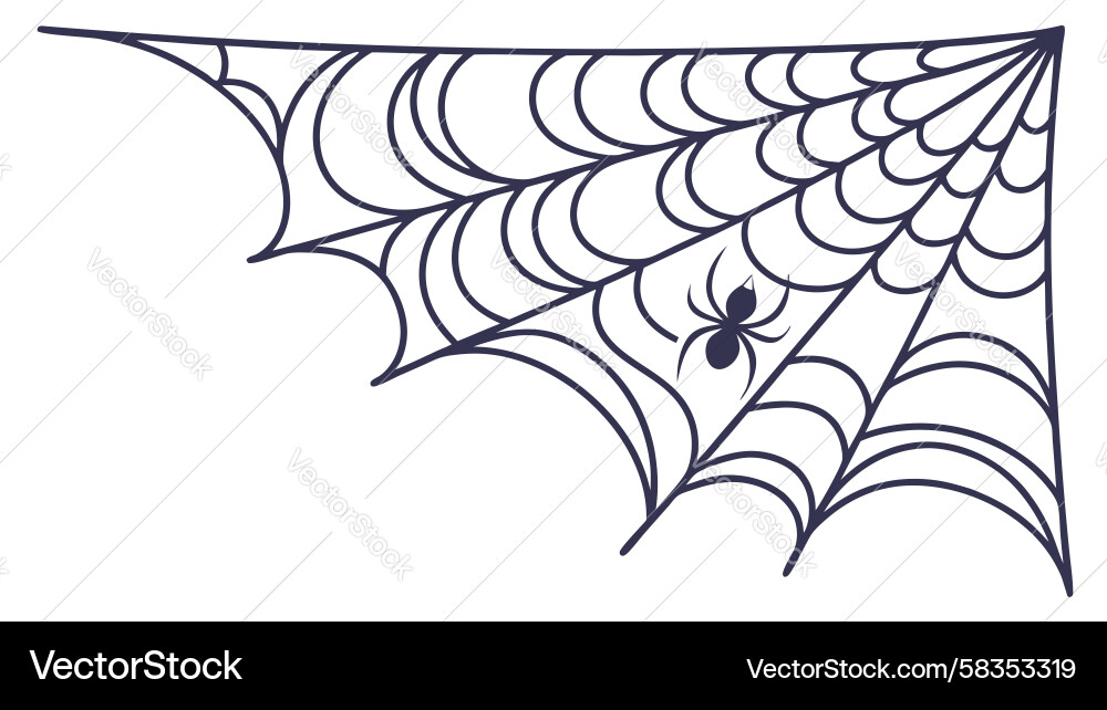 Spooky Triangular Spider Web Vector Image