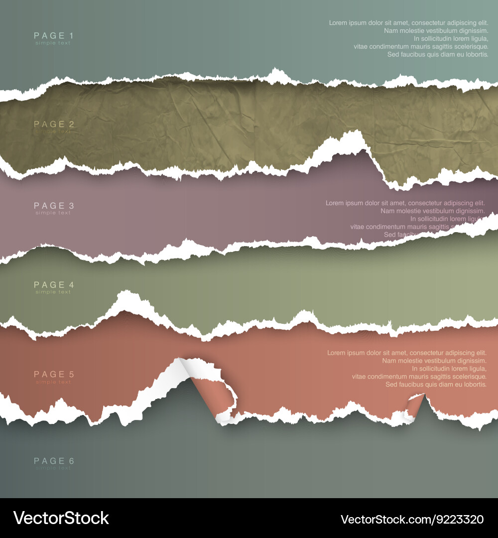 Design elements colorful torn paper with place vector image
